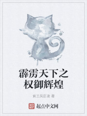 霹雳天下之权御辉煌