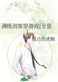 满级剑客穿游戏[全息]