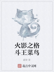 火影之格斗王菜鸟