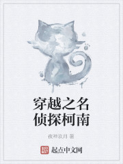 穿越之名侦探柯南