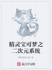 精灵宝可梦之二次元系统